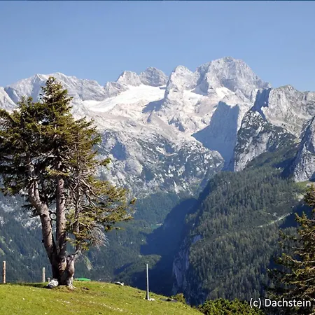 Holiday Alpenrose Feriehus Annaberg im Lammertal
