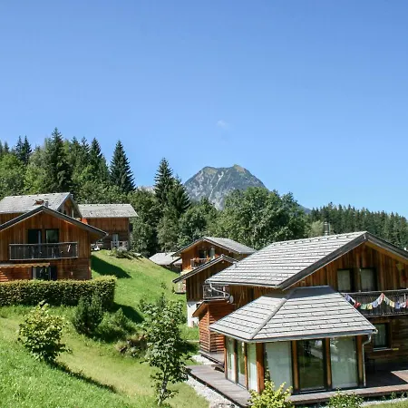 Holiday Alpenrose *